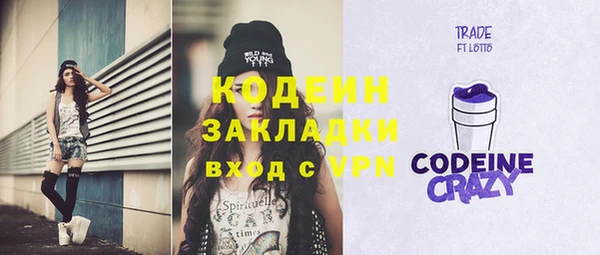 спиды Бородино
