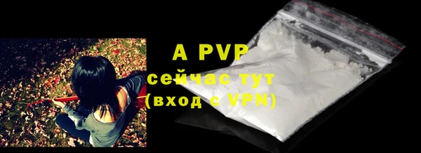 спиды Бородино