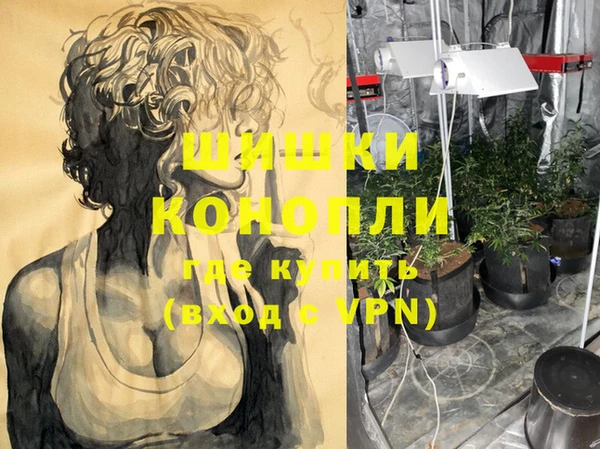 спиды Бородино