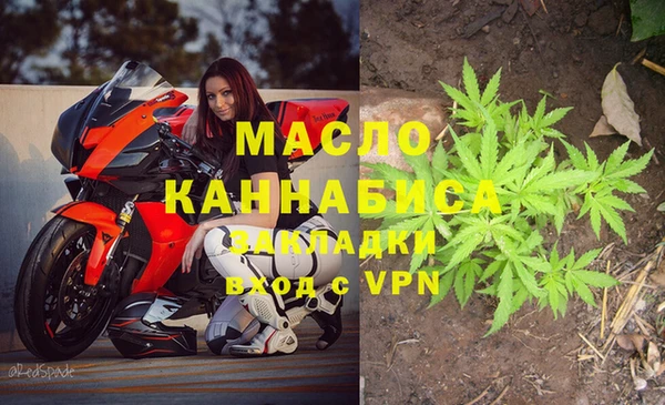 молекула духа Бугульма