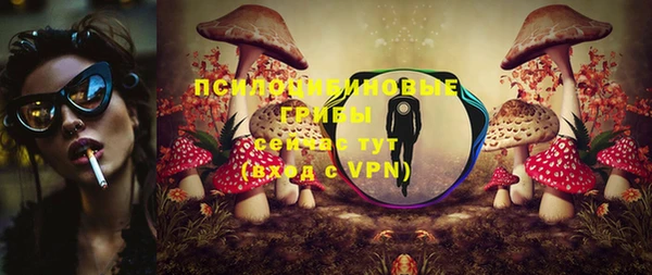 молекула духа Бугульма