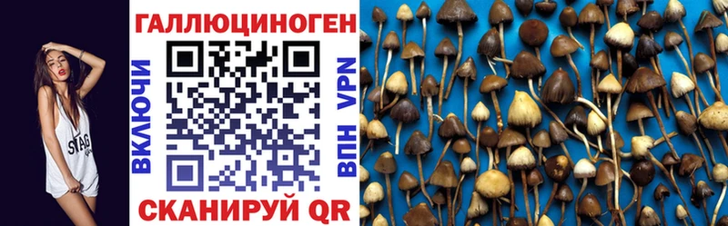Галлюциногенные грибы Cubensis  Ковылкино 